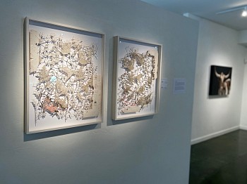 CLAIRE BREWSTER: Flights of Fancy 