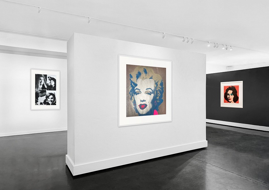 ANDY WARHOL: Icons - Installation View