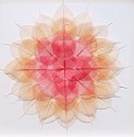 Miya Ando, Pink Mandala
Dyed Bodhi Skeleton (Ficus Religiosa) Leaves, Monofilament, Archival Ragboard