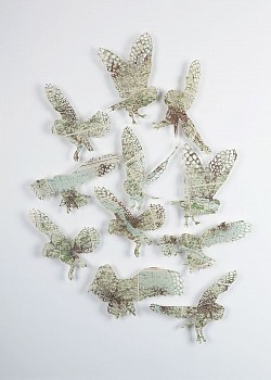 Claire Brewster - A Parliament &bull;