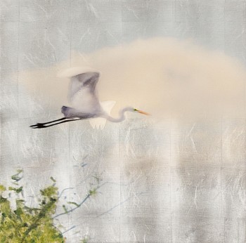 Susan Goldsmith - Great Merritt &bull;