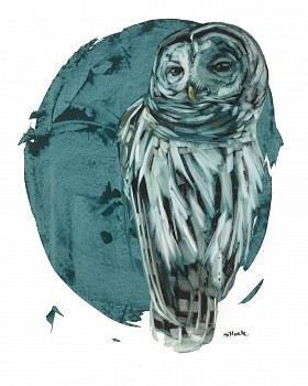 Sarah Hillock - Chuck