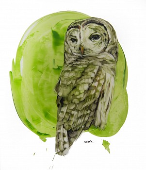 Work: Marenette &bull;