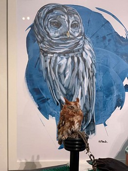 SARAH HILLOCK: Mirror Test 