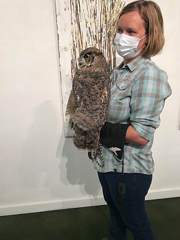 ANASTASIA KIMMETT: Elemental Nature&nbsp;