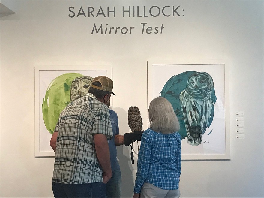 SARAH HILLOCK: Mirror Test - Installation View