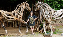 Press: Work of late famed “driftwood horse” artist on show, December  8, 2021 