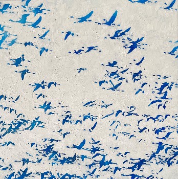 Jeremy Houghton - Fields of Joy &bull;