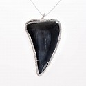 Krysia Renau, Natural Fossilized Shark Tooth Pendant
Natural Fossil 100 million years old - 54.36 grams, 14k White Gold weight - 15.6 grams, Set in White Diamonds -1.23 carats, 16