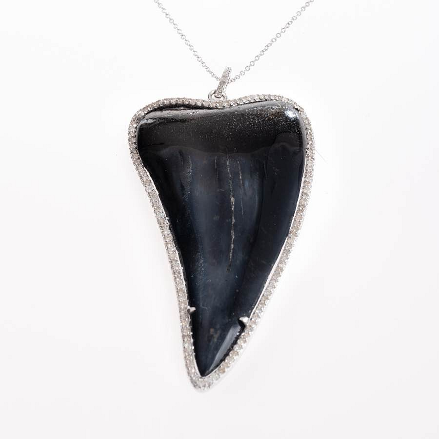 Krysia Renau, Natural Fossilized Shark Tooth Pendant
Natural Fossil 100 million years old - 54.36 grams, 14k White Gold weight - 15.6 grams, Set in White Diamonds -1.23 carats, 16" Solid White Gold Chain
07984