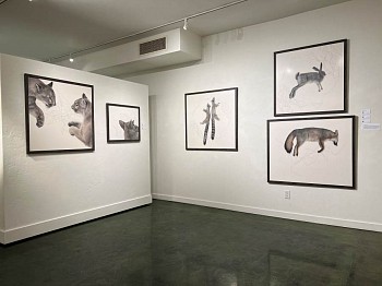 JENMARIE ZELEZNAK: These Dialogue Stars 