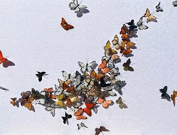 Juan Carlos Collada - Autumn Exodus &bull;