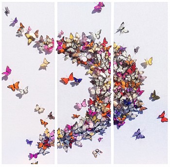 Juan Carlos Collada - Summer in Capri &bull;