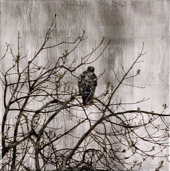 Susan Goldsmith - Trae from Oyster Point &bull;