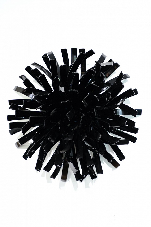Matt Devine, Anemones #3 (Black), 2022
Steel with Powder Coat, 17 x 17 x 6 in. (43.2 x 43.2 x 15.2 cm)
08151