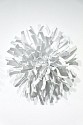 Matt Devine, Anemones #3 (White)
Steel with Powder Coat