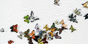 Juan Carlos Collada - Sunset Flutter