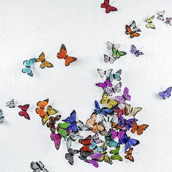 Juan Carlos Collada - The Road to Sabyinyo &bull;