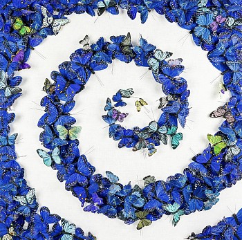 Juan Carlos Collada - This Mortal Coil