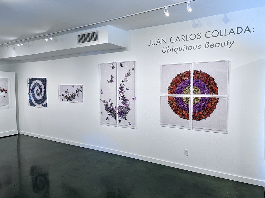 JUAN CARLOS COLLADA: Ubiquitous Beauty - Installation View