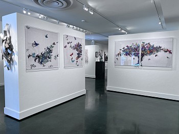 JUAN CARLOS COLLADA: Ubiquitous Beauty 