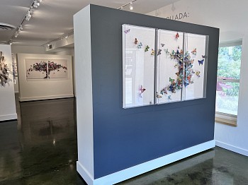 JUAN CARLOS COLLADA: Ubiquitous Beauty 