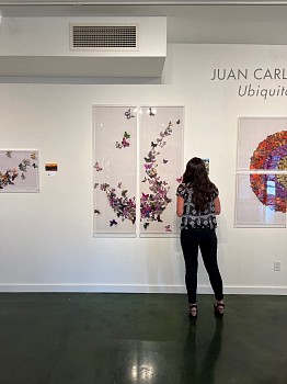 JUAN CARLOS COLLADA: Ubiquitous Beauty 