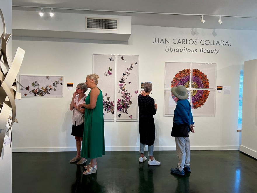 JUAN CARLOS COLLADA: Ubiquitous Beauty - Installation View