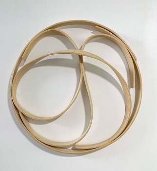 Heather Zusman - Shadow Play