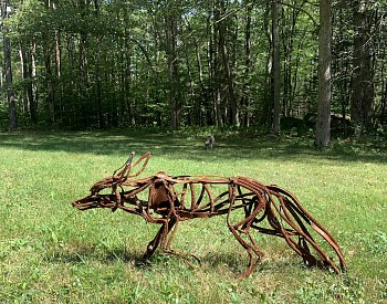 Wendy Klemperer - Mednick Fox &bull;