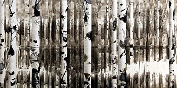 Work: Anastasia Kimmett Aspens, Storm