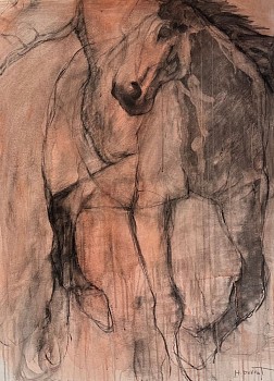 Helen Durant - Entangled