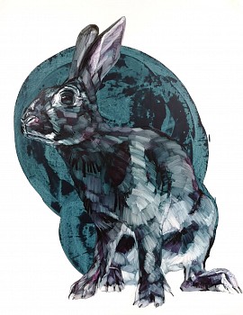 Work: Sarah Hillock Judy