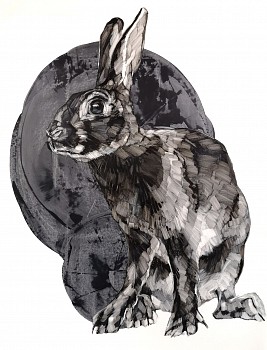 Work: Sarah Hillock Katherine