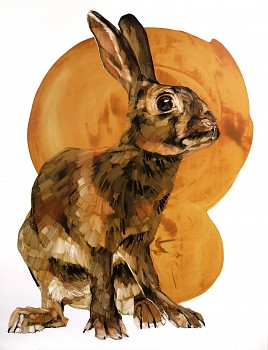 Work: Sarah Hillock Spencer