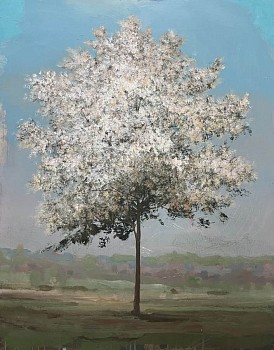 Peter Hoffer - Hawthorne