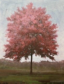 Peter Hoffer - Eastern Redbud